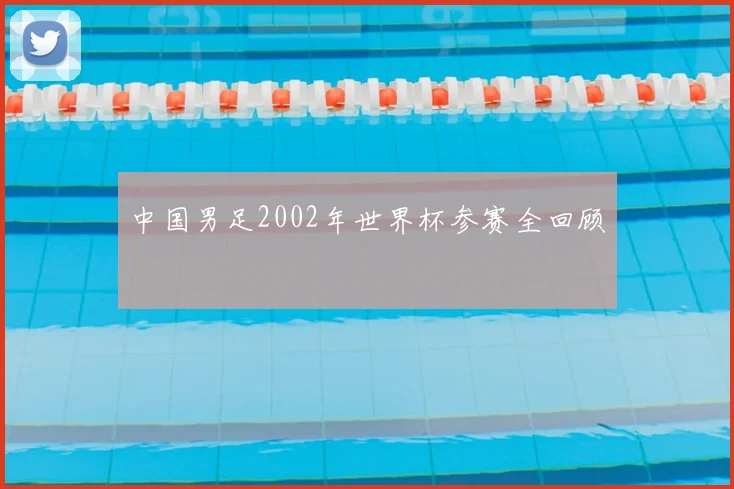 中国男足2002年世界杯参赛全回顾