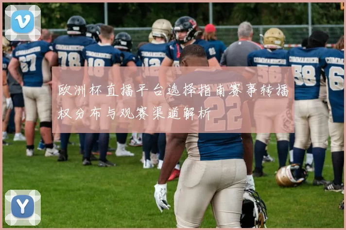 欧洲杯直播平台选择指南赛事转播权分布与观赛渠道解析