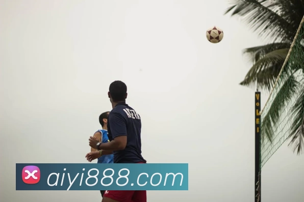 App Interface Preview